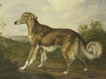 Siberian Greyhound-Jan Dasveldt-Art Print