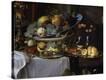 Stretched Canvas Print