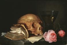 Memento Mori-Jan Davidsz^ de Heem-Giclee Print