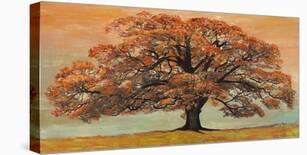 Peach Tree-Jan Eelder-Stretched Canvas