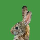 Abstract Polygonal Vector Illustration. Portrait of Rabbit-Jan Fidler-Photographic Print