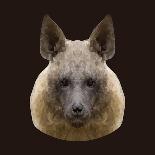 Canine Beast of Pray, Hyena, Low Poly Vector Portrait Illustration-Jan Fidler-Framed Photographic Print