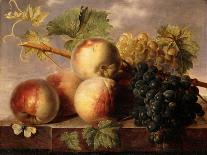 Peaches and Grapes with a Cabbage White on a Marble Ledge-Jan Frans Dael-Framed Premier Image Canvas