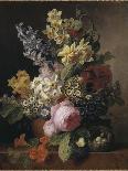 Vase de fleurs, raisins et pêches-Jan Frans van Dael-Giclee Print