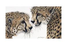 Siberian Tiger-Jan Henderson-Art Print
