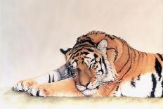 Siberian Tiger-Jan Henderson-Framed Art Print