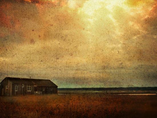 Photographic Print, , large