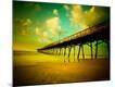 Premium Photographic Print