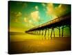 Stretched Canvas Print
