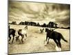 Photographic Print