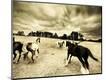 Photographic Print