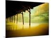 Premium Photographic Print