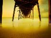 Premium Photographic Print