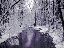 Snow Covered Trees along Creek in Winter Landscape-Jan Lakey-Framed Photographic Print