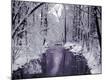 Premium Photographic Print