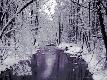 Premium Photographic Print