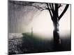 Photographic Print