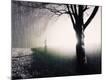 Photographic Print