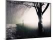 Photographic Print