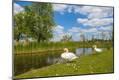 Premium Photographic Print