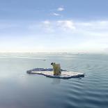 A Polar Bear Managed to Get on One of the Last Ice Floes Floating in the Arctic Sea.-Jan Martin Will-Photographic Print