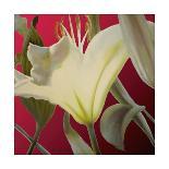 Lily Red-Jan McLaughlin-Framed Stretched Canvas