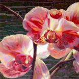 Iris I-Jan McLaughlin-Framed Art Print