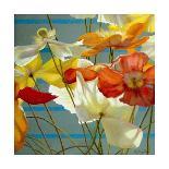 Lily Red-Jan McLaughlin-Framed Stretched Canvas