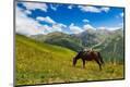 Photographic Print