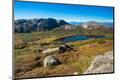 Photographic Print
