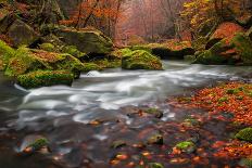Autumn Creek-Jan S.-Photographic Print