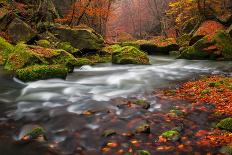 Autumn Creek-Jan S.-Framed Photographic Print