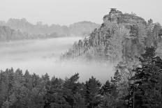 B&W Autumn Landscape-Jan S.-Photographic Print