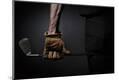 Premium Photographic Print