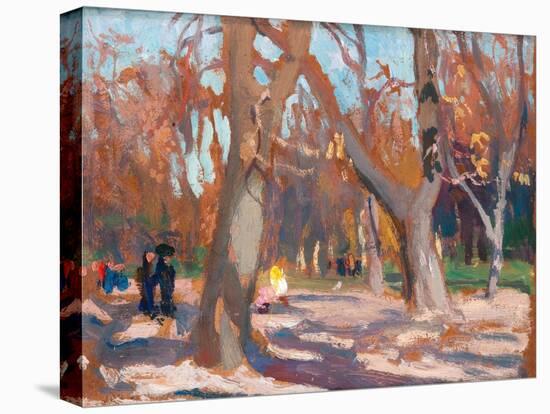 Stretched Canvas Print, , large