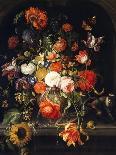 Poppies, Hollyhock, Morning Glory, Viola, Daisies, Sweet Pea, Marigolds and Other Flowers in a Vase-Jan van Huysum-Framed Giclee Print