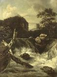 A Waterfall (Cascade)-Jan van Kessel-Art Print