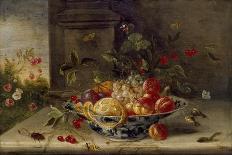 Decorative Still-Life Composition with a Porcelain Bowl, Fruit and Insects-Jan van Kessel the Elder-Giclee Print