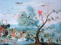 Tropical Birds in a Landscape-Jan van Kessel-Giclee Print