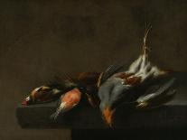 Still Life of Dead Birds, C.1660-Jan Vonck-Giclee Print