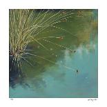 River Jewels-Jan Wagstaff-Limited Edition