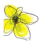 Yellow Petals 1-Jan Weiss-Art Print