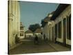 Stretched Canvas Print