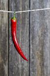 Fresh Red Chili Pepper Hanging on Rope in Front of Wooden Wall-Jana Ihle-Photographic Print