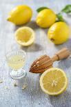 Lemons, Citrus-Press and Juice-Jana Ihle-Framed Photographic Print