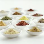 Spices, Spice Mixtures and Marinades in Small Bowls-Jana Liebenstein-Photographic Print