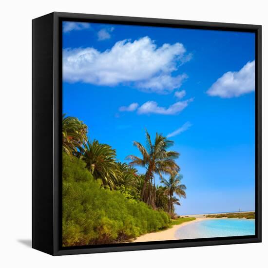 Jandia Sotavento Beach Fuerteventura at Canary Islands of Spain Photomount-Naturewolrd-Framed Premier Image Canvas