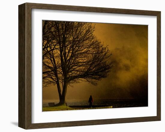 Jando-Sharon Wish-Framed Photographic Print