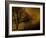 Jando-Sharon Wish-Framed Photographic Print