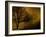 Jando-Sharon Wish-Framed Photographic Print